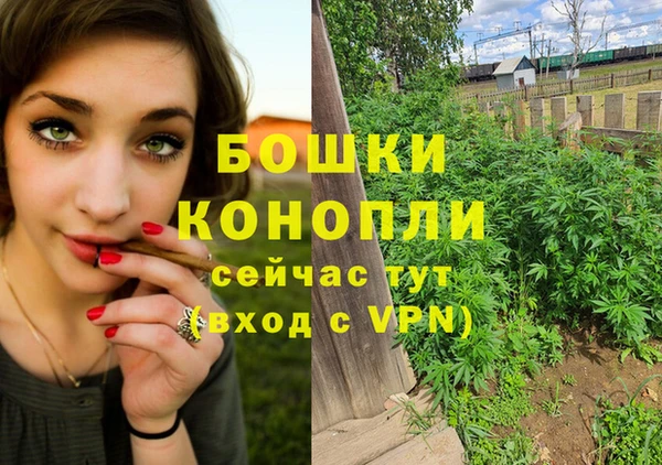 мяу мяу мука Белокуриха