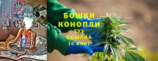 ГАЛЛЮЦИНОГЕННЫЕ ГРИБЫ Семилуки