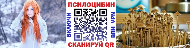 Псилоцибиновые грибы Magic Shrooms  mega зеркало  Заволжье  магазин продажи  